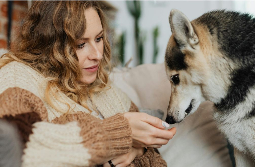 Mujer ofreciendo una golosina a un perro quisquilloso.