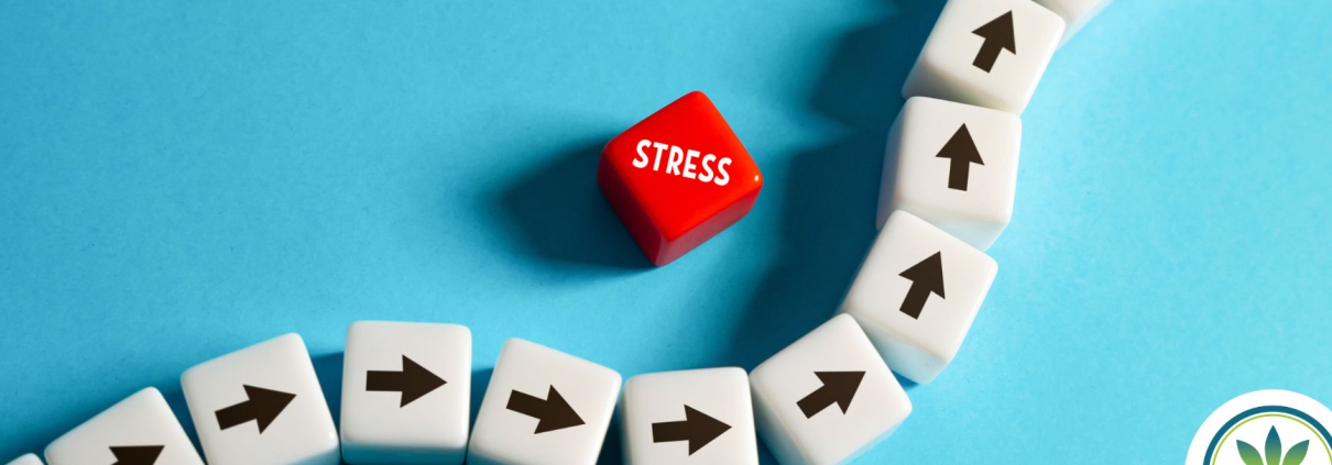 Dados rojos con la palabra «STRESS» sobre una fila de dados blancos con flechas negras apuntando hacia arriba