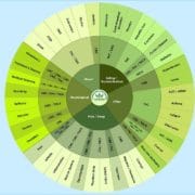 Cannabinoïdes
