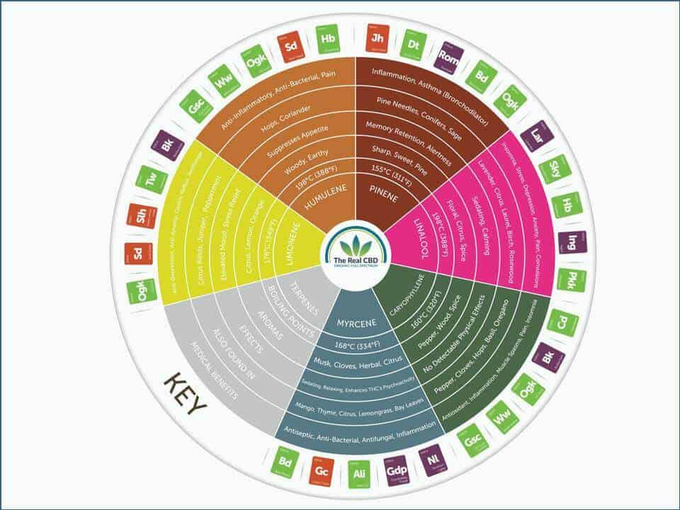 La vraie roue du CBD et des terpènes