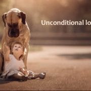 Hund und Kind Kleines Kind schaut mit liebevollen Augen zu einer Dogge auf