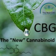 CBG das neue Cannabinoid CBG das neue Cannabinoid