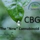 CBG the new cannabinoid