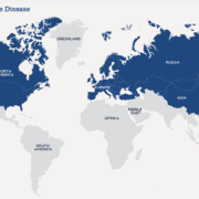 cbd-oil-lyme-disease-The-real-CBD-Marbella-Costa-del-Sol-Spain-UK-Denmark World map in blue and grey