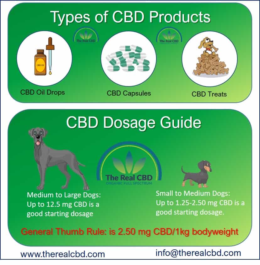 CBD oil for Pets