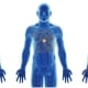 Illustration of 3 blue men with different bioavailability