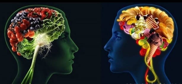 het-echte-cbd-blog-cbd-olie-en-gewichtsverlies