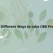 6 verschiedene Arten der Einnahme von CBD-Produkten 6 verschiedene Arten der Einnahme von CBD-Produkten