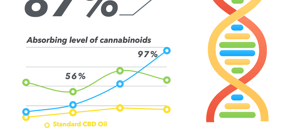 CBD poeder testresultaten Infographic