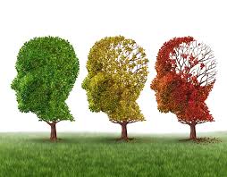 cbd oil against alzheimers