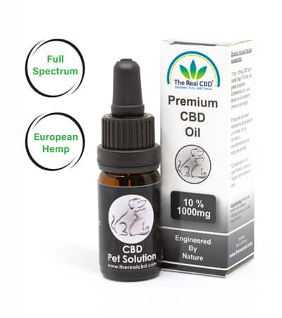 10% CBD-รl fรผr Haustiere