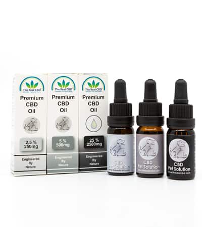3 Pet CBD oils and boxes - The Real CBD Brand