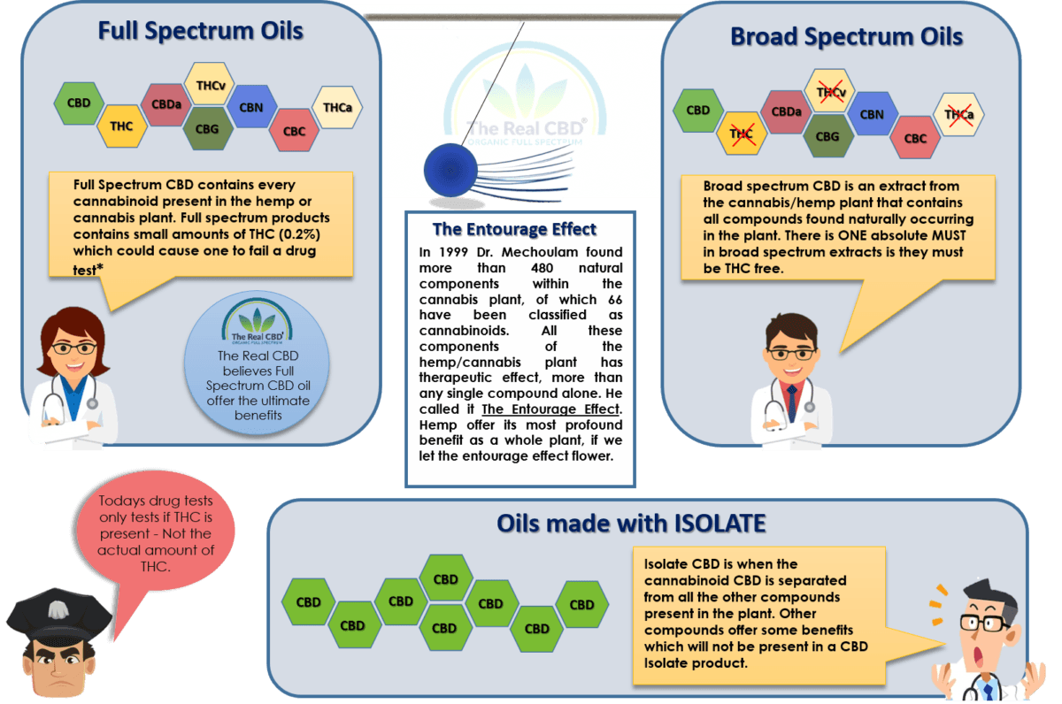 The-Real-CBD-infographic-full-spectrum-cbd-oil