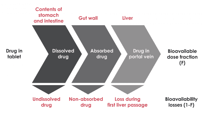 the-real-cbd-blog-cbd-and-nutricion-bioavailability
