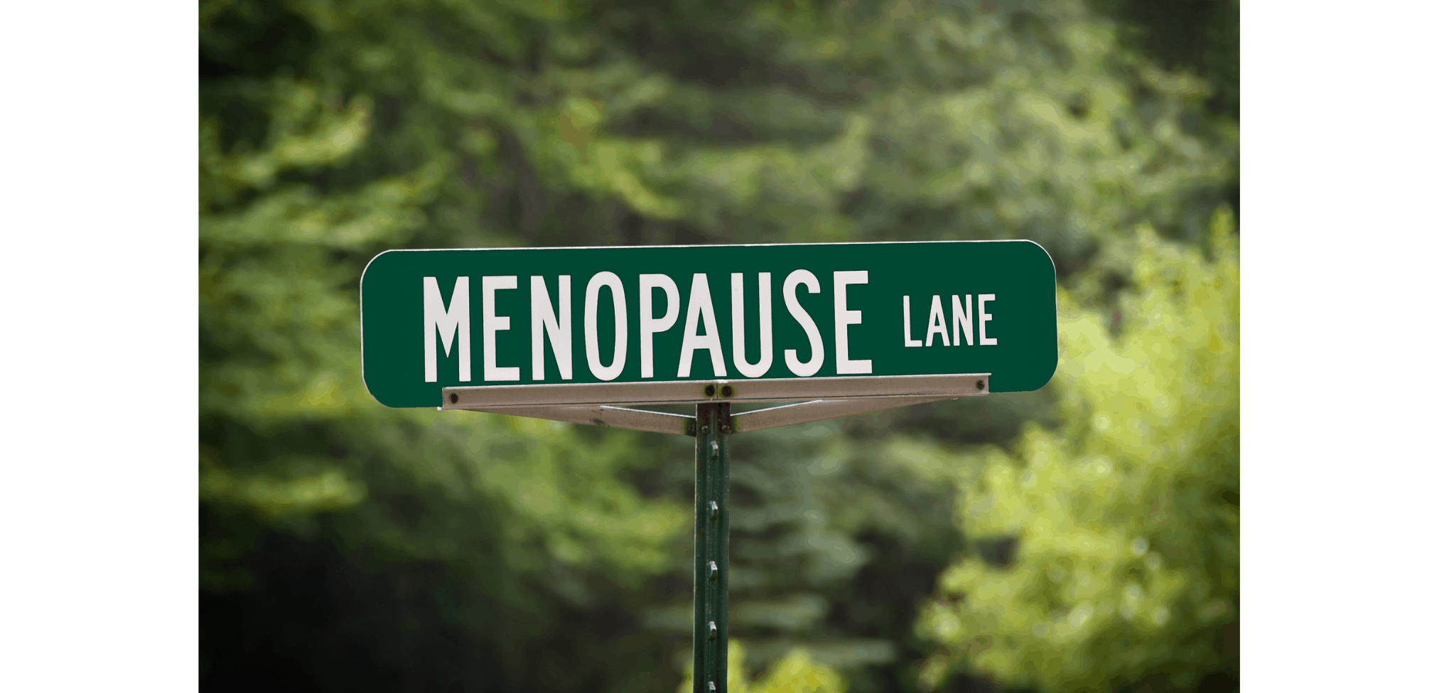 Straatnaambord menopauze in een bos