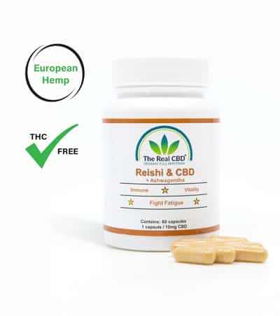 CBD and Reishi Capsules
