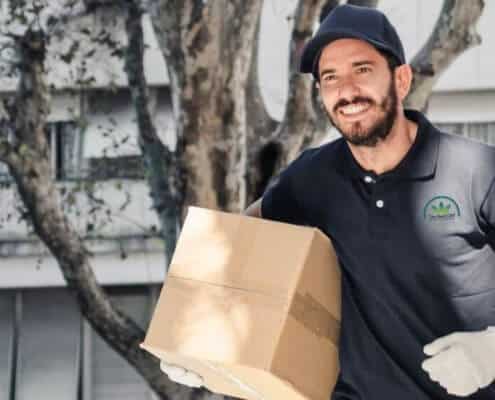 the real cbd online shop and wholesale europe