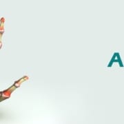 Der-Real-CBD-Blog-Arthritis-Schmerzlinderung Skelett der Hand