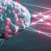 The-Real-CBD-blog-does-CBD-help-with-nerve-damage Blaues und rosafarbenes Gehirn, durch das Strom fließt