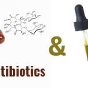 The-Real-CBD-Blog-CBD-and-Antibiotics Antibiotic capsules and Pipette with CBD oil