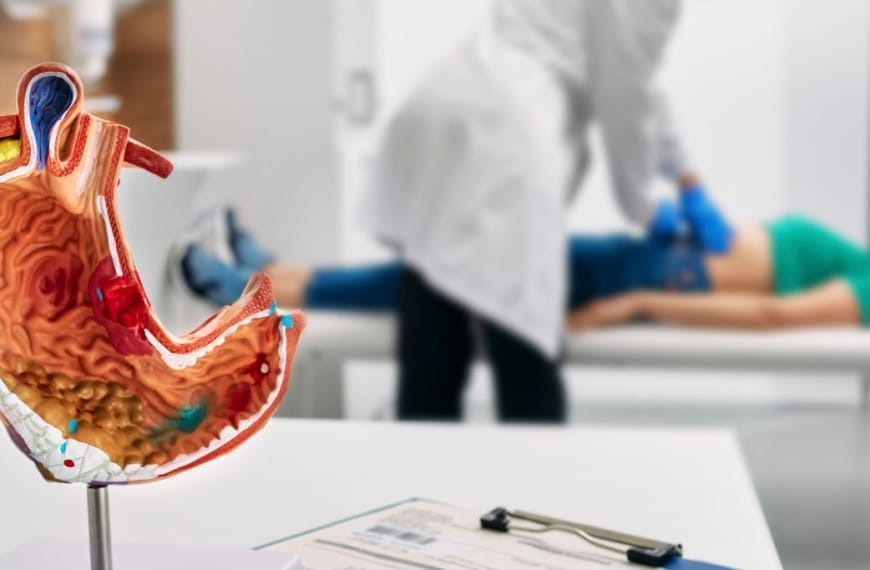 Stomach model on table with a doctor examining a woman on an examination bed