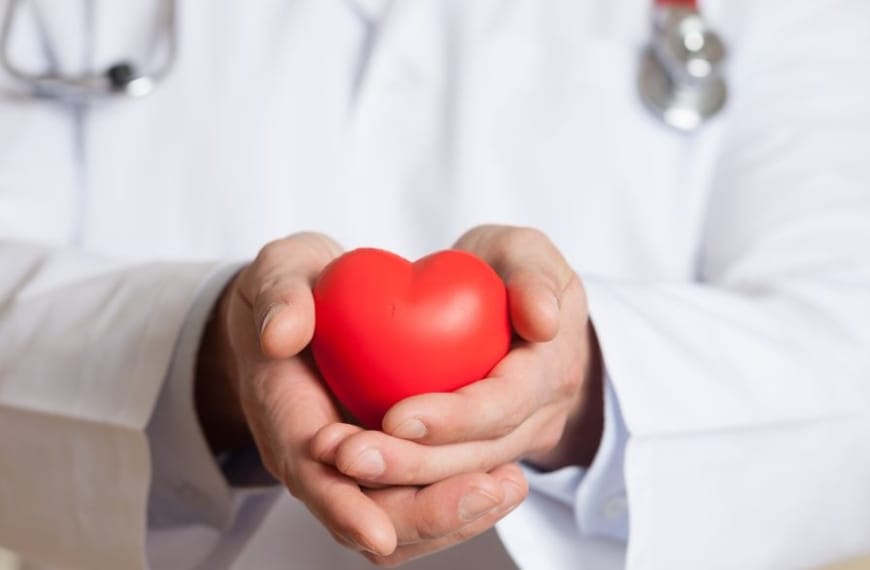 Doctor holding a red plastic heart