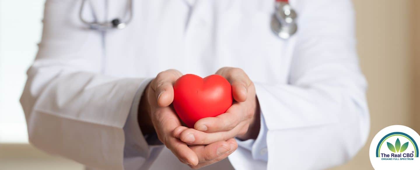 Dokter met een rood plastic hart
