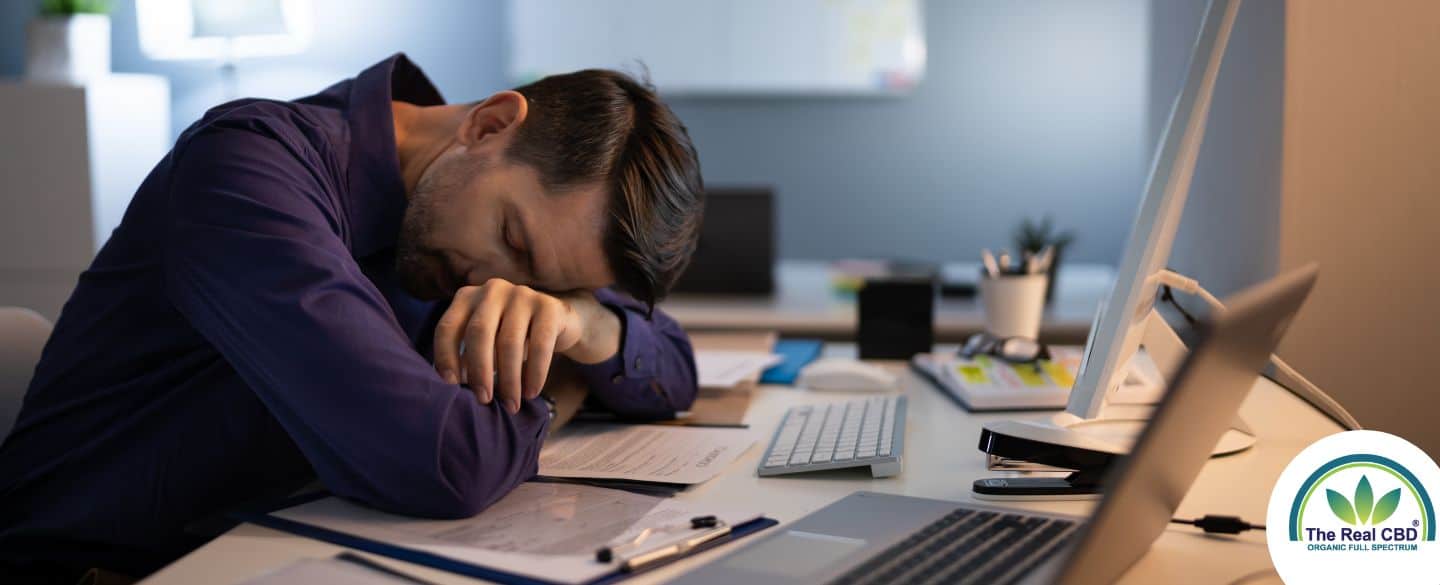 Mann schläft an einem Bürotisch mit mehreren Computern