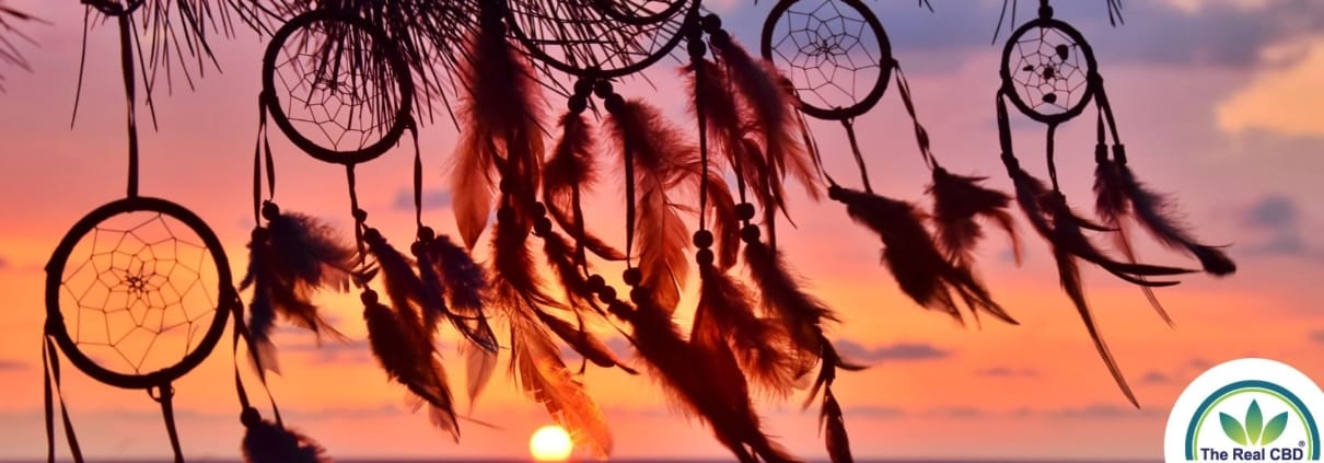 Dromenvanger in zonsondergang