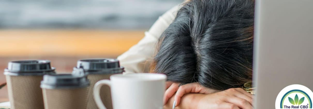 Vrouw slaapt op tafel met veelvoud van koffiekopjes op