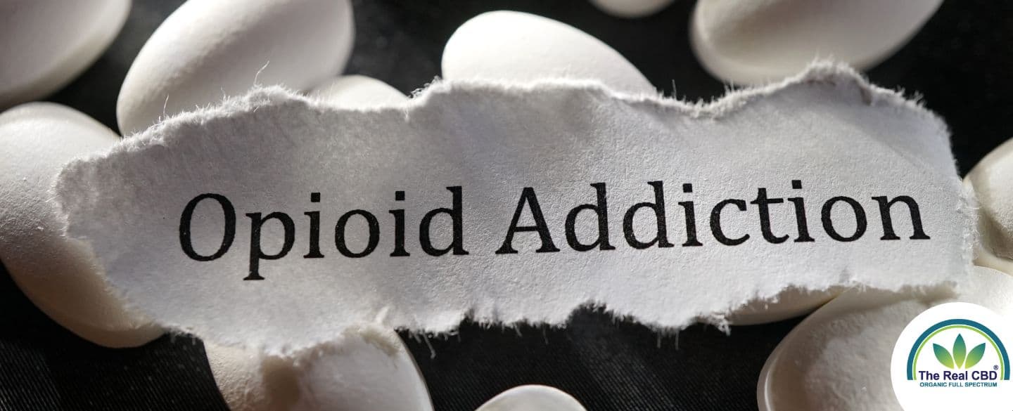 Opioรฏde verslaving op een wit papier rip op van witte pillen