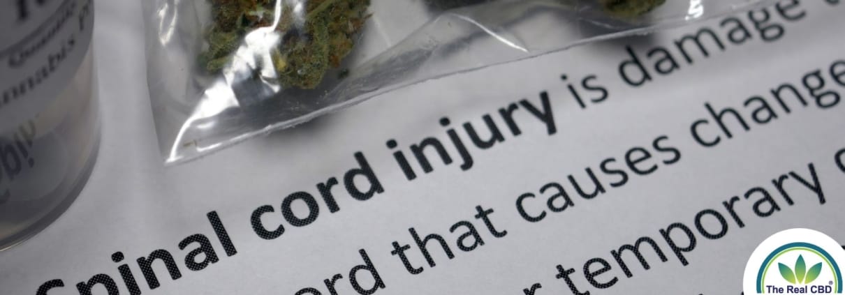 Book about Spinal Cord Injury and hemp flowers