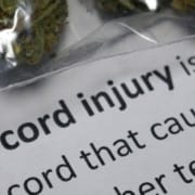 The-Real-CBD-Blog-CBD-for-Spinal-Cord-Spasticity Buch über Wirbelsäulenverletzungen und Hanfblüten