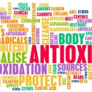 The Real CBD Blog – CBD Oxidative Stress and Free Radicals Antioxidant word soup