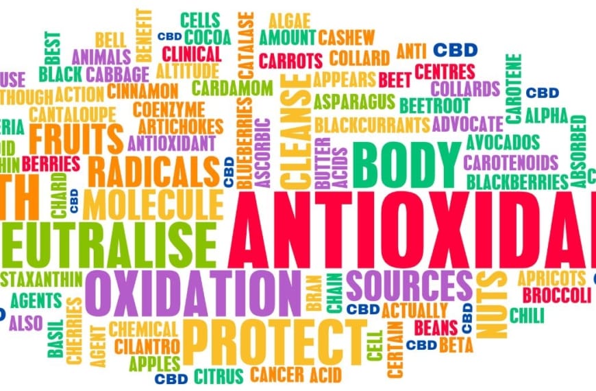 Antioxidant woordsoep