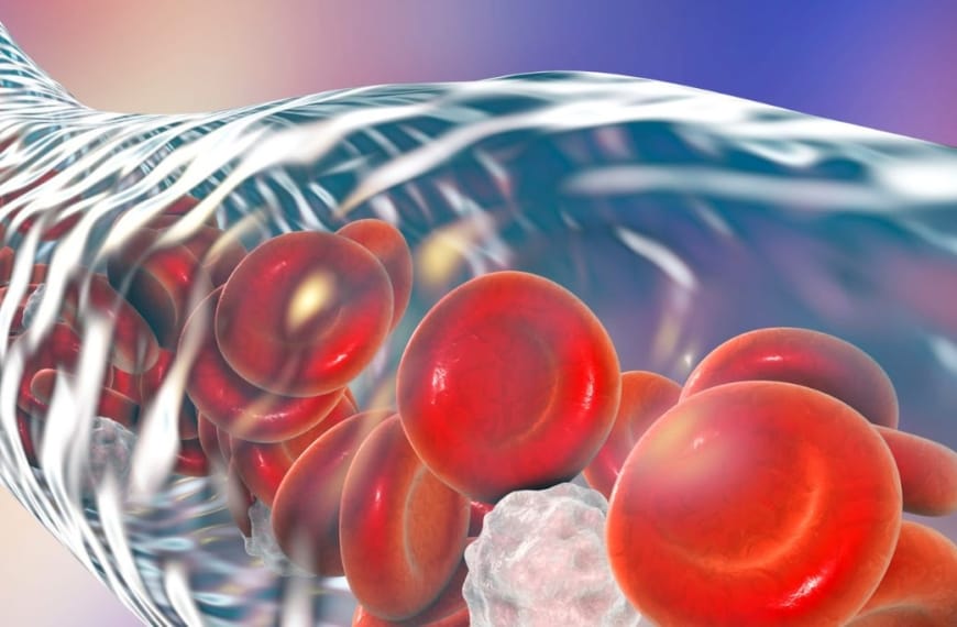 Vaine transparente avec des globules rouges flottants