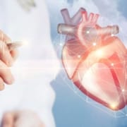 Der-Real-CBD-Blog-Ist-CBD-sicher-für-Herz-Patienten Arzt, der auf ein Herz auf einem Bildschirm zeigt