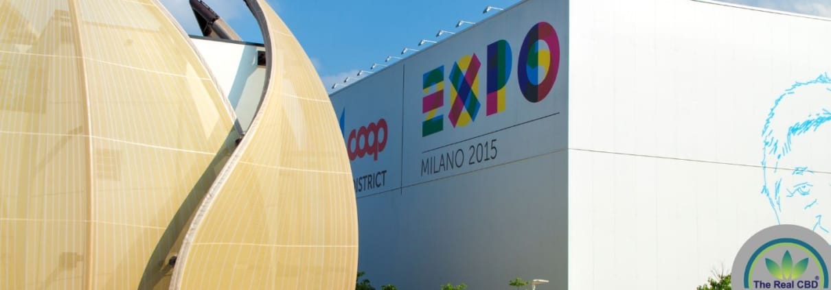 Milan expo hall