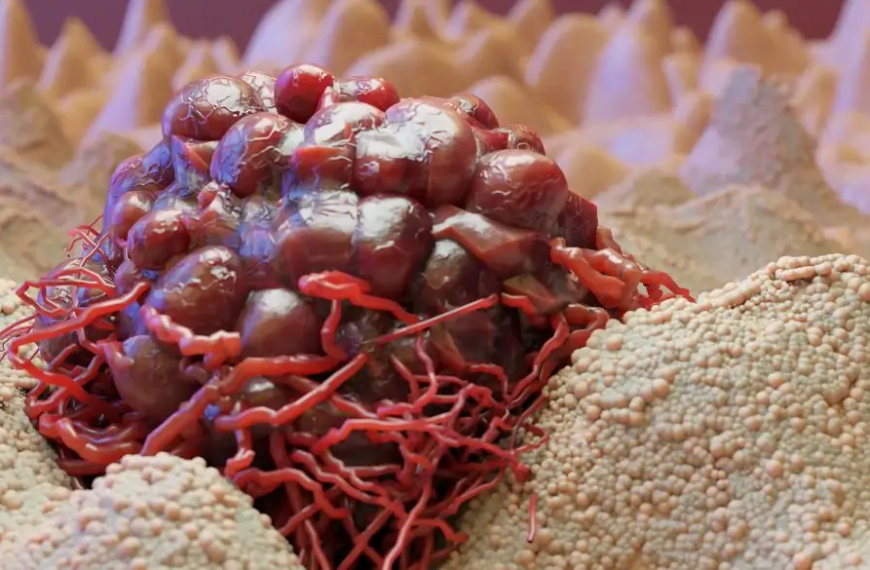 Close-up of cancer red cell
