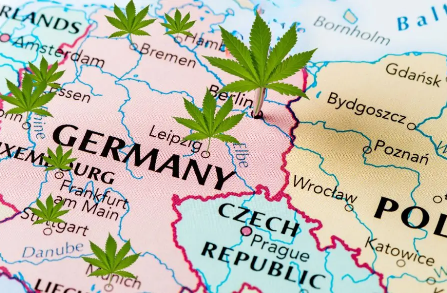 Map of Germany with hemp leaves