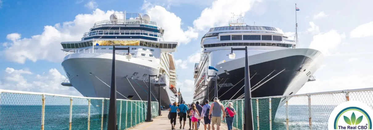 Deux grands paquebots de croisière avec des touristes marchant vers eux