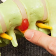 The-Real-CBD-Blog-CBd-for-herniated-disk-pain Finger, der auf eine Probe eines Bandscheibenvorfalls zeigt