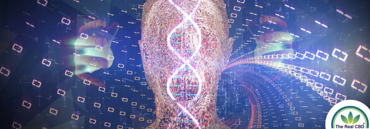 Illustration unserer DNA auf einer Silhouette eines menschlichen Kopfes