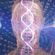 Der-Real-CBD-Blog-CBD-und-DNA Illustration unserer DNA auf einer Silhouette eines menschlichen Kopfes