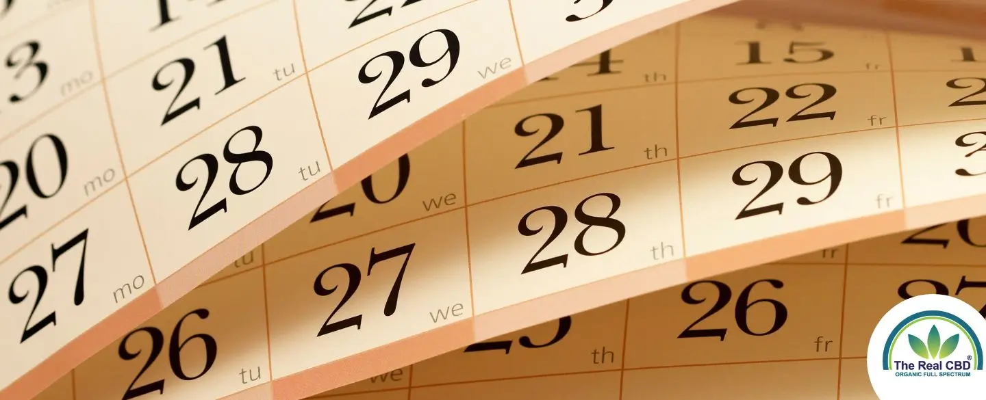 Kalender mit einem Monat
