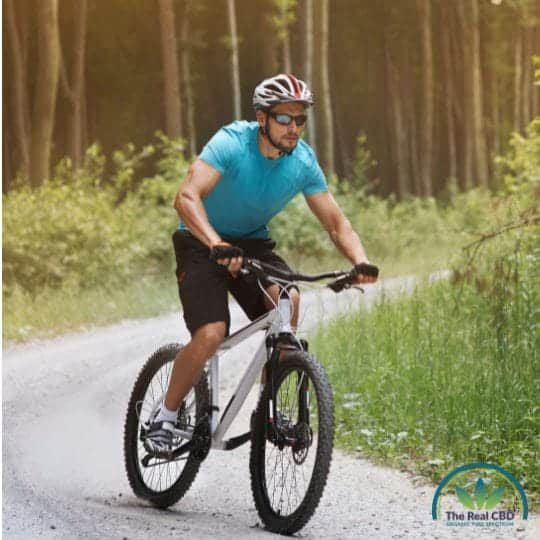Mountain biker in the Forrest