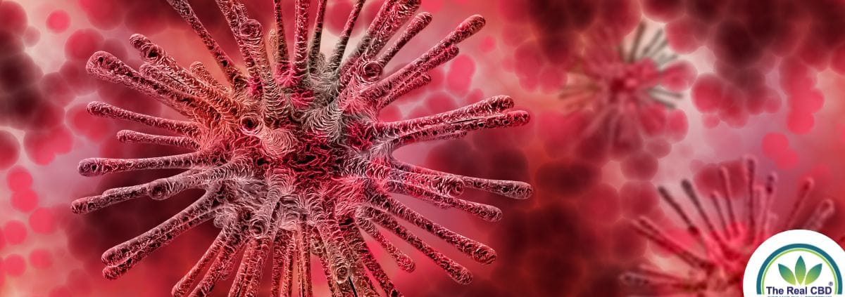 Zeichnung einer Infektion im Blut