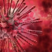 The-Real-CBD-blog-CBD-for-infections Drawing of infection in the blood