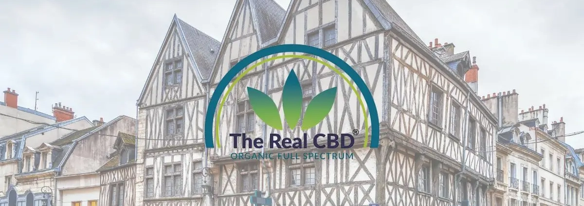 Typical houses in DIjon