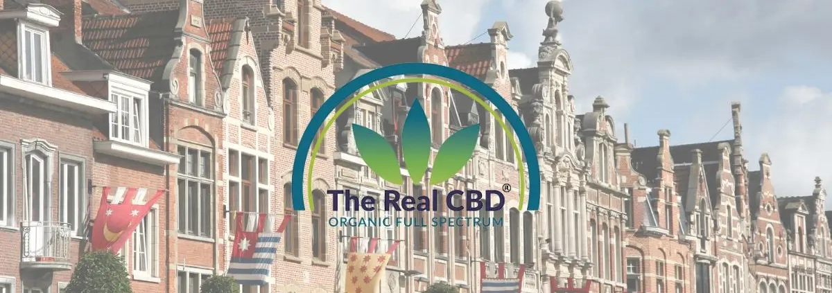 Typische Gebäude in Leuven